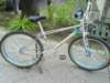 haromaster26sold_small.jpg