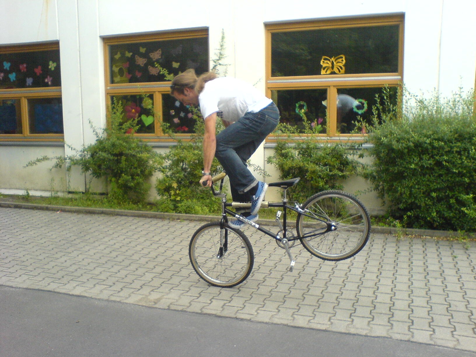 dsc00227.jpg